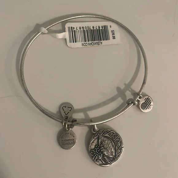 Alex and Ani Silver Bracelet - Picture 2 of 3